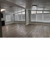 1999 Skyline Manufactured Home