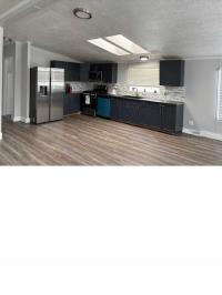 1999 Skyline Manufactured Home