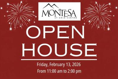 Mobile Home at 7373 E. Us Highway 60 #249 Gold Canyon, AZ 85118