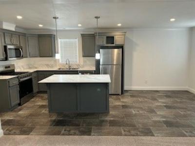 Photo 4 of 10 of home located at 3758 Shirley Lane Lot 8 Reno, NV 89512