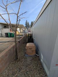 2025 Fleetwood Homes 230BM14482B Manufactured Home