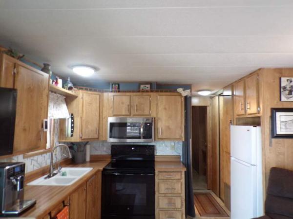 1987 Skyline Manufactured Home