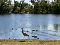 1988 Glenbrook Manufactured Home