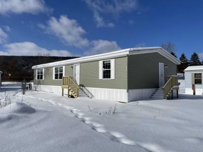 Mobile Home at 17 Liberty Drive Moravia, NY 13118