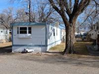 1970 Detroiter Mobile Home