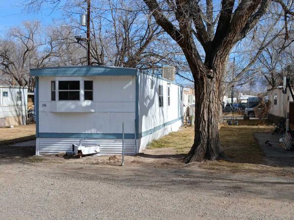1970 Detroiter Mobile Home