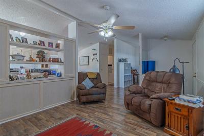 Photo 4 of 17 of home located at 167 Vance Ct. Henderson, NV 89074