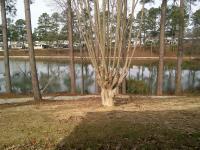 1999 Mascot Mascot Mobile Home