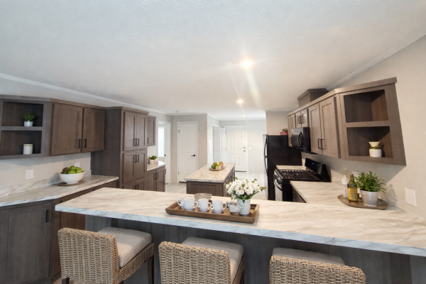 2024 Champion Manufactured Home