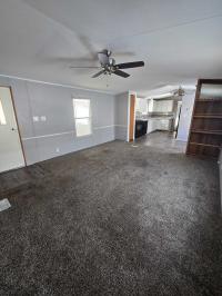 1995 Skyline Manufactured Home