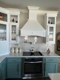 2019 Champion Osprey Manufactured Home