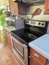 2007 Fleetwood Americana Manufactured Home