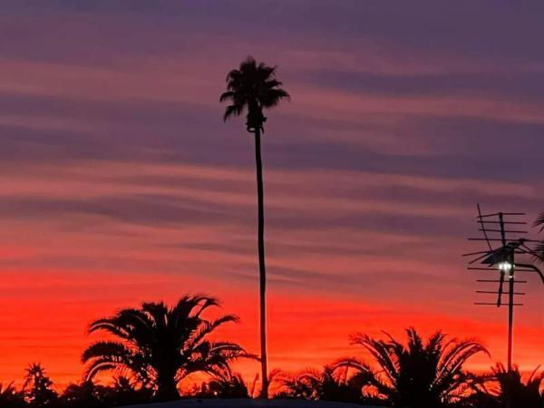 1982 Palm Harbor Manufactured Home