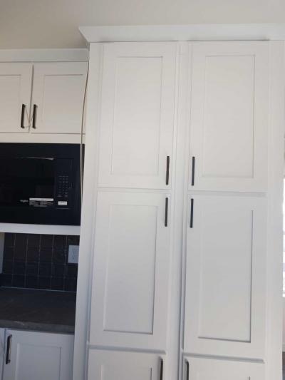 Photo 3 of 16 of home located at N6795 Hwy A, Lot #11 Lake Mills, WI 53551