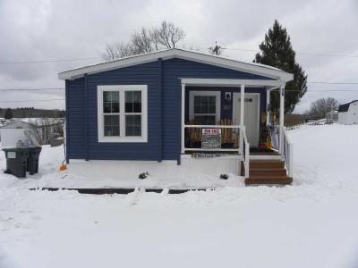 Mobile Home at 16 Chestnut Ln Stillwater, NY 12170
