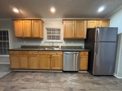 Photo 5 of 24 of home located at 115 Minnie A Lemon Dr Childersburg, AL 35044