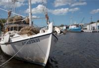 2019 Jacobsen IMP-45213B Mobile Home