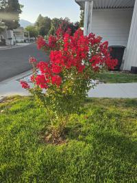 1970 Columbia 1970 Mobile Home