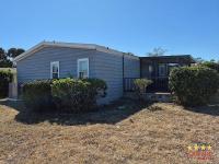 1989 PALM   Home