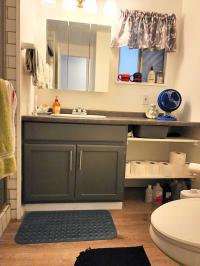 1980 SKYLINE BUDDY Mobile Home