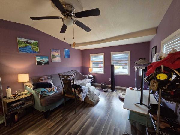 1965 Skyline Mobile Home