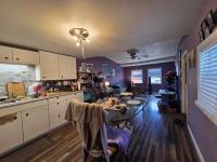 1965 Skyline Mobile Home