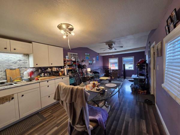 1965 Skyline Mobile Home