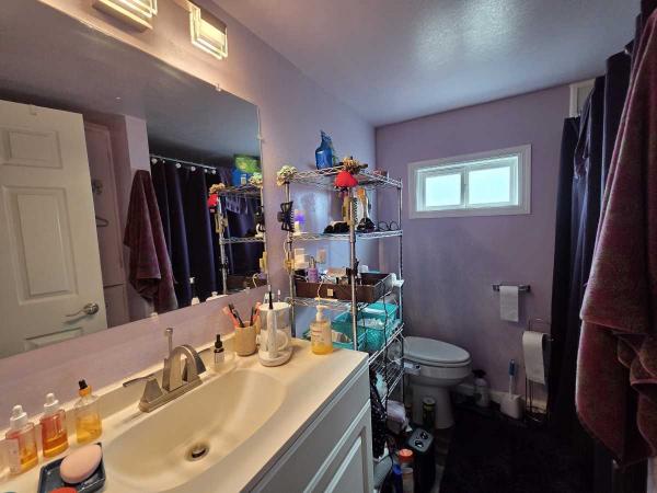 1965 Skyline Mobile Home