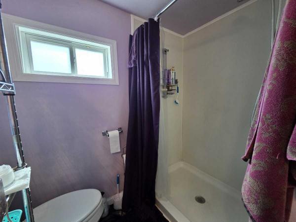 1965 Skyline Mobile Home