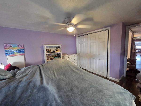 1965 Skyline Mobile Home