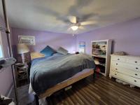 1965 Skyline Mobile Home