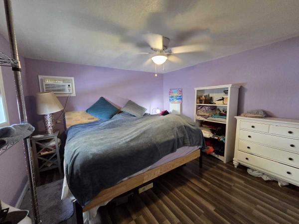 1965 Skyline Mobile Home