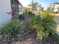 1985 Palm Harbor HS Manufactured Home