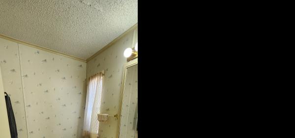 1990 CHAN Mobile Home