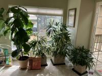 2010 N/A Palm Harbor Manufactured Home