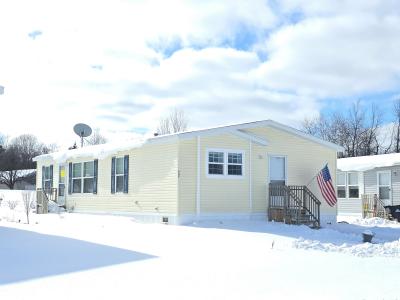 Mobile Home at 932 Redwood Drive Hastings, MI 49058