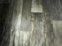 2026 Nobility - Ocala Silver Springs Mobile Home