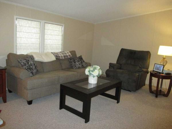 1995 Skyline Manufactured Home