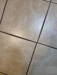 1988 Palm Harbor Double-Wide Manufactured Home