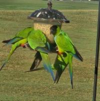 2018 Palm Harbor Ventura Manufactured Home