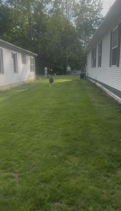 Photo 3 of 32 of home located at 701 Missouri River Dr Adrian, MI 49221