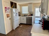 1973 Gree Mobile Home