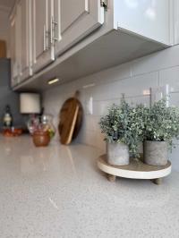 1991 Palm Harbor Manufactured Home