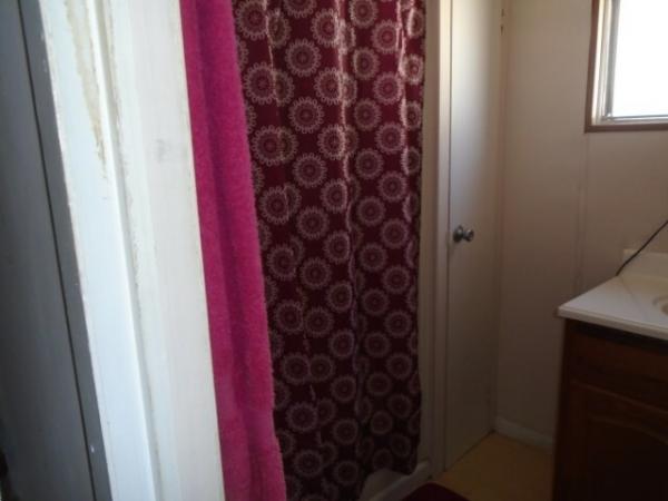 1980 MANA Manufactured Home