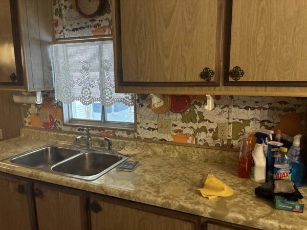 1971 Unknown Manufactured Home