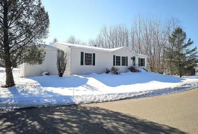 Mobile Home at 8835 Woodsedge Dr. Kalamazoo, MI 49009