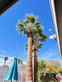 2007 Palm Harbor MH Manufactured Home