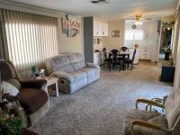 1970 Skyline Manufactured Home