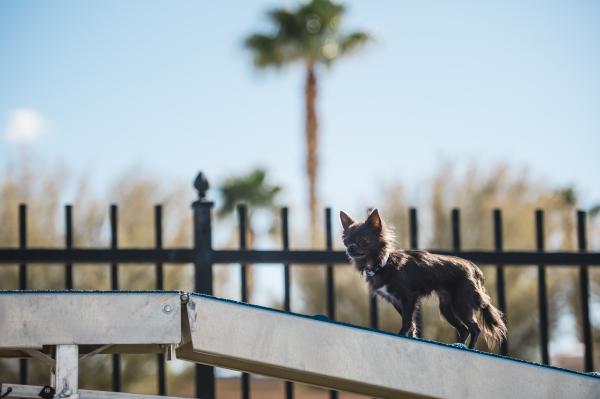 2004 Cavco Mobile Home