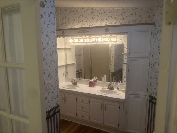 1999 Skyline NA Mobile Home